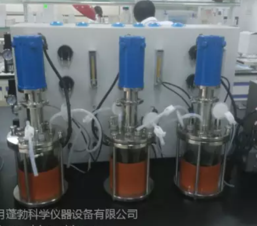 定制玻璃反应釜发酵罐反应罐