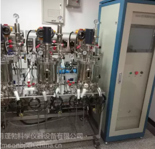 定制3联5升发酵罐